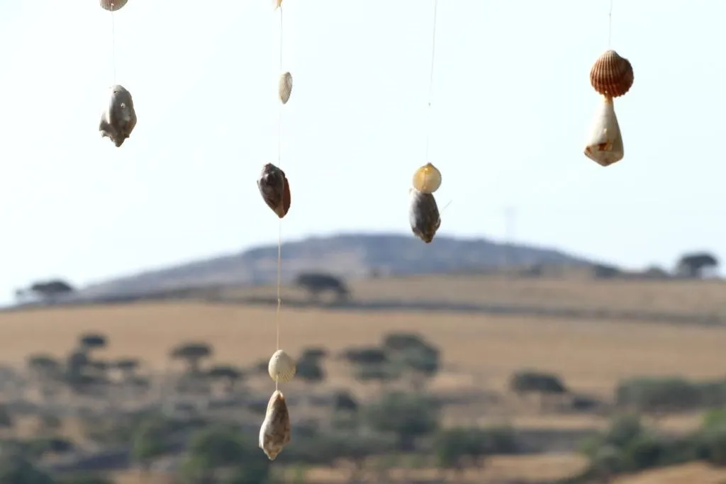 standard triple studio (6)